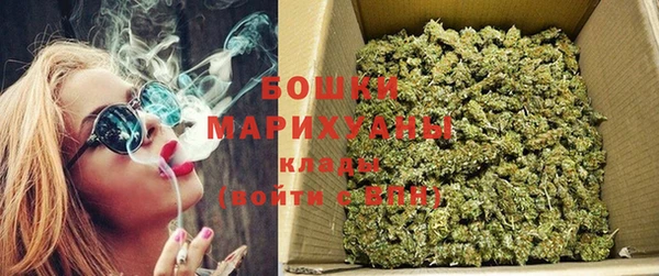 ГАЛЛЮЦИНОГЕННЫЕ ГРИБЫ Алзамай