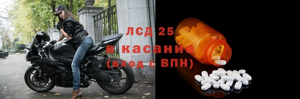 гидра Беслан