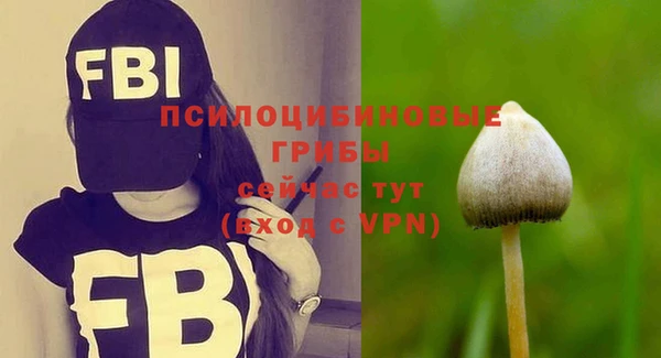 ГАЛЛЮЦИНОГЕННЫЕ ГРИБЫ Алзамай