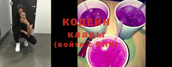 ГАЛЛЮЦИНОГЕННЫЕ ГРИБЫ Алзамай