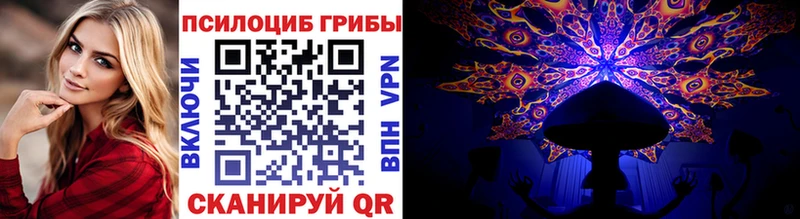 Псилоцибиновые грибы Cubensis  Новоалександровск 