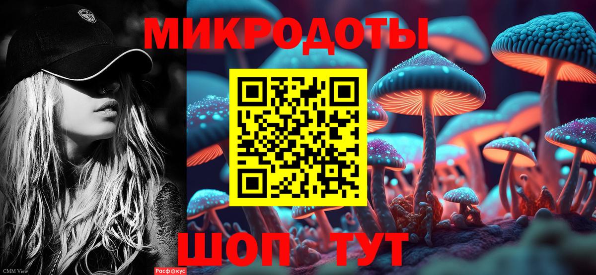 Галлюциногенные грибы Psilocybine cubensis  Вход с VPN  Новоалександровск  Псилоцибиновые грибы MAGIC MUSHROOMS 