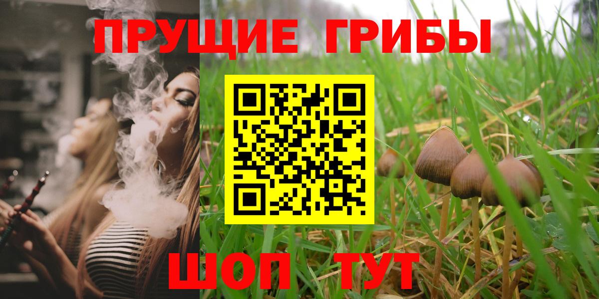 Галлюциногенные грибы ЛСД Новоалександровск